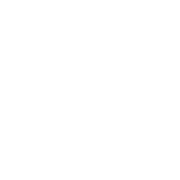 WIG